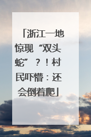 浙江一地惊现“双头蛇”？！村民吓懵：还会倒着爬