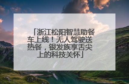 浙江松阳智慧助餐车上线！无人驾驶送热餐，银发族享舌尖上的科技关怀