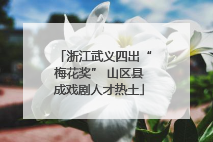 浙江武义四出“梅花奖” 山区县成戏剧人才热土