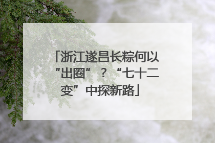 浙江遂昌长粽何以“出圈”？“七十二变”中探新路