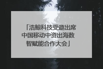 浩鲸科技受邀出席中国移动中资出海数智赋能合作大会