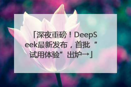 深夜重磅！DeepSeek最新发布，首批“试用体验”出炉→
