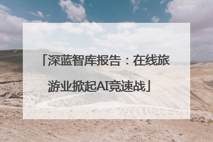 深蓝智库报告：在线旅游业掀起AI竞速战