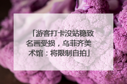游客打卡没站稳致名画受损，乌菲齐美术馆：将限制自拍