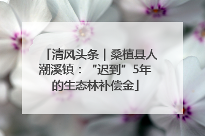 清风头条｜桑植县人潮溪镇：“迟到”5年的生态林补偿金