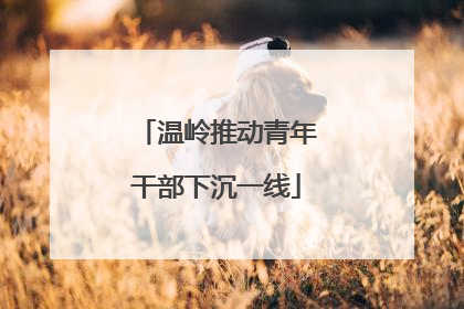 温岭推动青年干部下沉一线