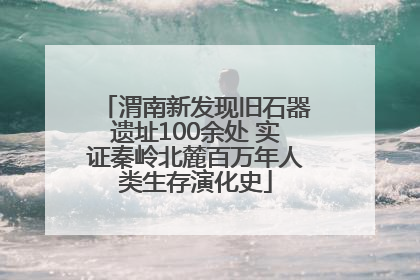 渭南新发现旧石器遗址100余处 实证秦岭北麓百万年人类生存演化史