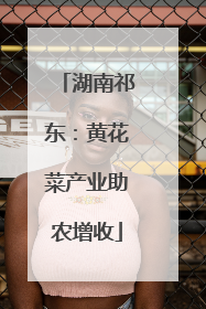 湖南祁东：黄花菜产业助农增收