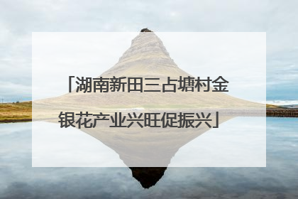 湖南新田三占塘村金银花产业兴旺促振兴