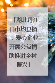 湖北丹江口市均县镇：爱心企业开展公益捐助推进乡村振兴