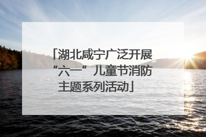 湖北咸宁广泛开展“六一”儿童节消防主题系列活动
