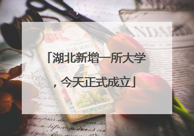 湖北新增一所大学，今天正式成立
