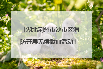 湖北荆州市沙市区消防开展无偿献血活动