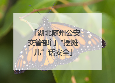湖北随州公安交管部门“摆摊儿”话安全