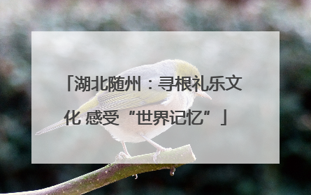 湖北随州：寻根礼乐文化 感受“世界记忆”