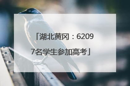 湖北黄冈：62097名学生参加高考