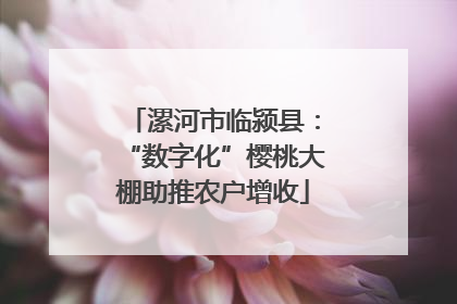 漯河市临颍县：“数字化”樱桃大棚助推农户增收
