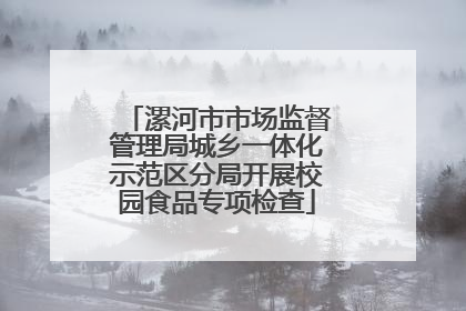 漯河市市场监督管理局城乡一体化示范区分局开展校园食品专项检查