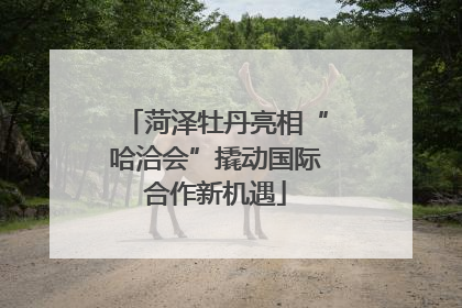 菏泽牡丹亮相“哈洽会”撬动国际合作新机遇