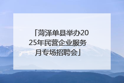 菏泽单县举办2025年民营企业服务月专场招聘会