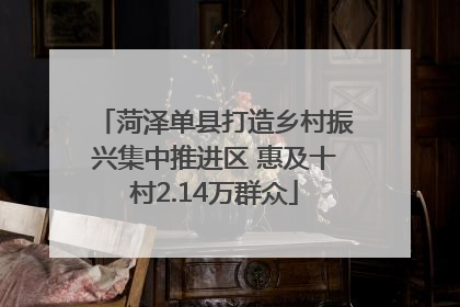 菏泽单县打造乡村振兴集中推进区 惠及十村2.14万群众