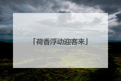 荷香浮动迎客来
