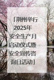 荆州举行2025年安全生产月启动仪式暨安全宣传咨询日活动
