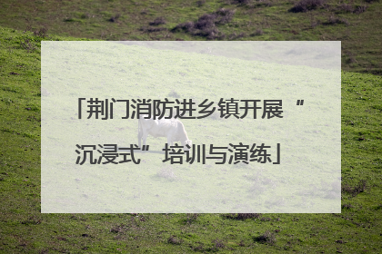 荆门消防进乡镇开展“沉浸式”培训与演练