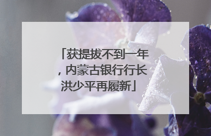 获提拔不到一年，内蒙古银行行长洪少平再履新