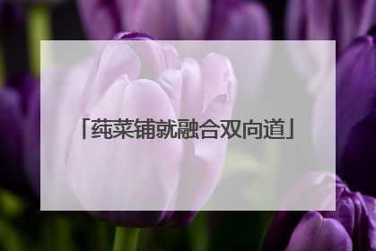 莼菜铺就融合双向道