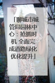 聊城市城管局园林中心：抢抓时机 全面完成道路绿化优化提升