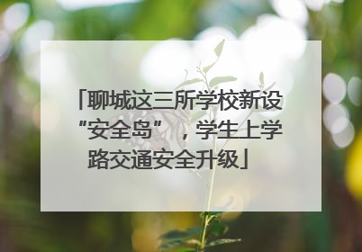 聊城这三所学校新设“安全岛”，学生上学路交通安全升级