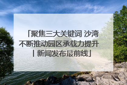 聚焦三大关键词 沙湾不断推动园区承载力提升丨新闻发布最前线