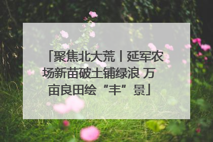 聚焦北大荒丨延军农场新苗破土铺绿浪 万亩良田绘“丰”景