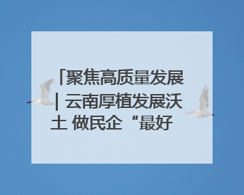 聚焦高质量发展｜云南厚植发展沃土 做民企“最好合伙人”