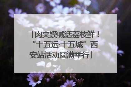 肉夹馍喊话荔枝鲜！“十五运·十五城”西安站活动圆满举行