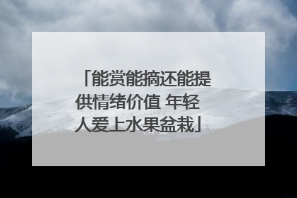 能赏能摘还能提供情绪价值 年轻人爱上水果盆栽