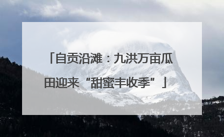 自贡沿滩：九洪万亩瓜田迎来“甜蜜丰收季”