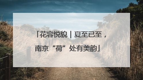 花容悦貌｜夏至已至，南京“荷”处有美韵