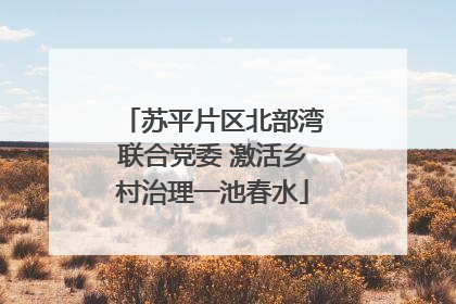 苏平片区北部湾联合党委 激活乡村治理一池春水