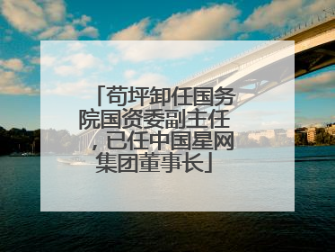 苟坪卸任国务院国资委副主任，已任中国星网集团董事长