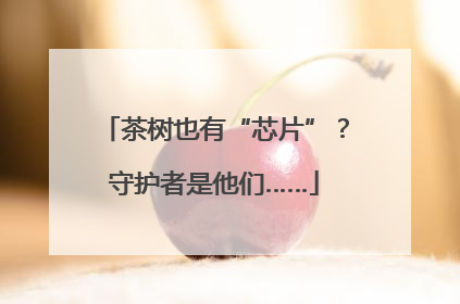 茶树也有“芯片”？守护者是他们……