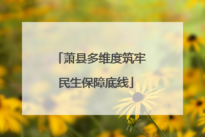 萧县多维度筑牢民生保障底线
