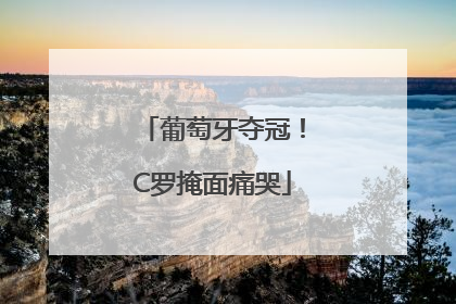 葡萄牙夺冠！C罗掩面痛哭