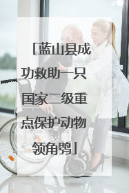 蓝山县成功救助一只国家二级重点保护动物领角鸮