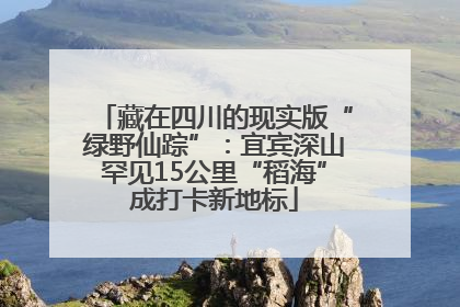藏在四川的现实版“绿野仙踪”：宜宾深山罕见15公里“稻海”成打卡新地标