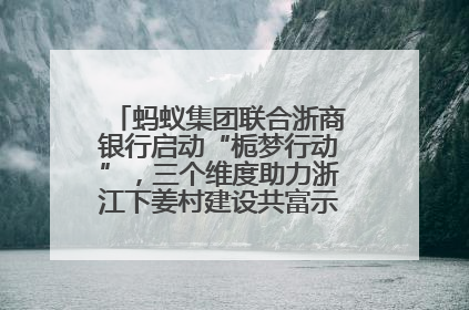 蚂蚁集团联合浙商银行启动“栀梦行动”，三个维度助力浙江下姜村建设共富示范区示范点