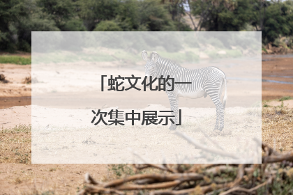 蛇文化的一次集中展示