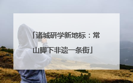 诸城研学新地标：常山脚下非遗一条街
