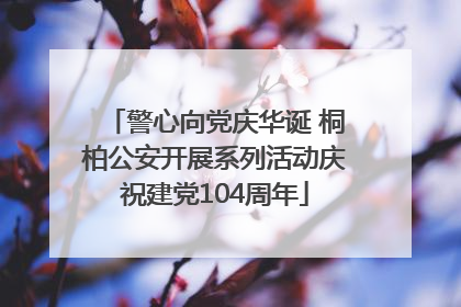 警心向党庆华诞 桐柏公安开展系列活动庆祝建党104周年